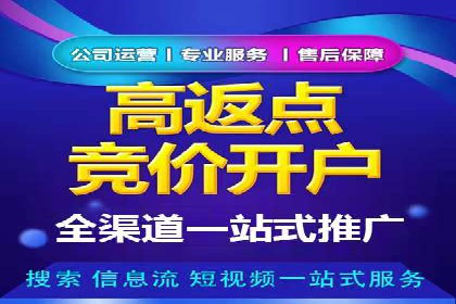 实战经验分享：SEO与SEM优化案例精选